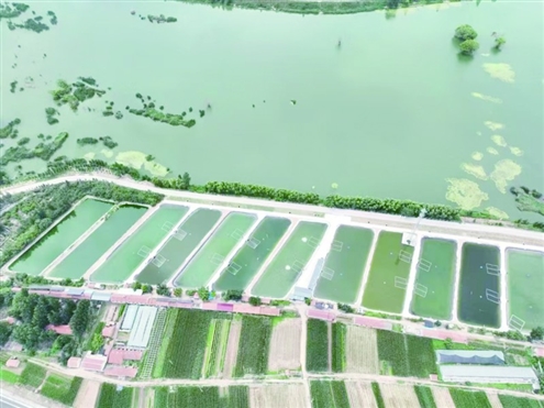 高标准智能养殖塘坝